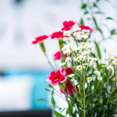 Myflat Diamond Bay Σίοφοκ