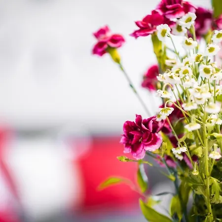 Myflat Diamond Bay 公寓 希欧福克