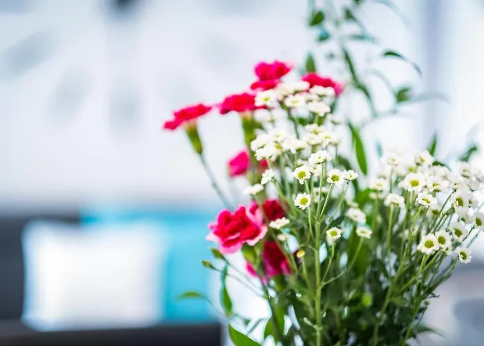 Myflat Diamond Bay شيوفوك